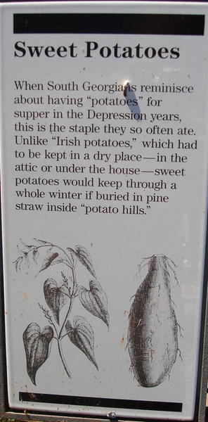 Sweet Potatoes Sign