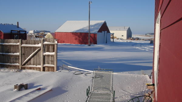 Snow in the farm yard