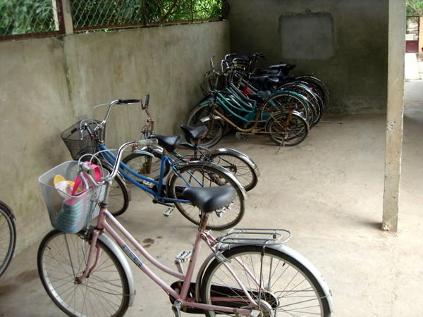 Bicycles used to go to school