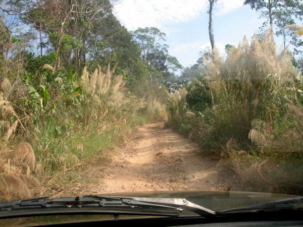 Road to Bokor