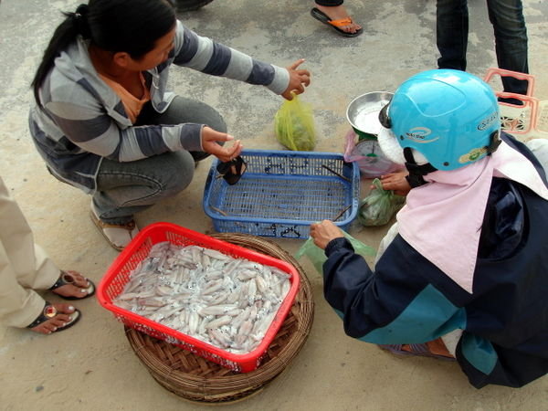 Selling Fish on the street