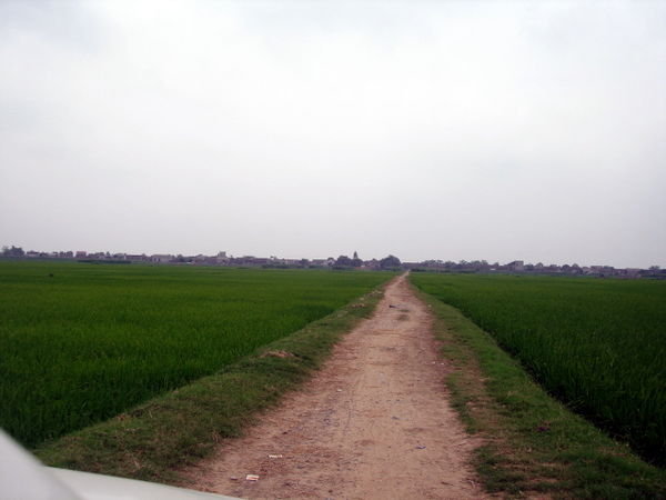 Going back to village
