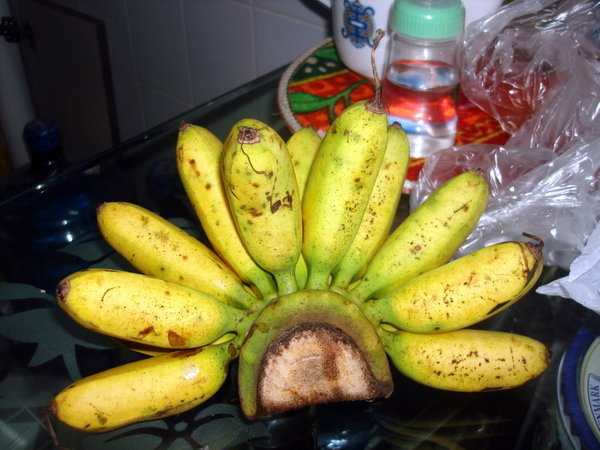 About 60 cents worth of Bananas