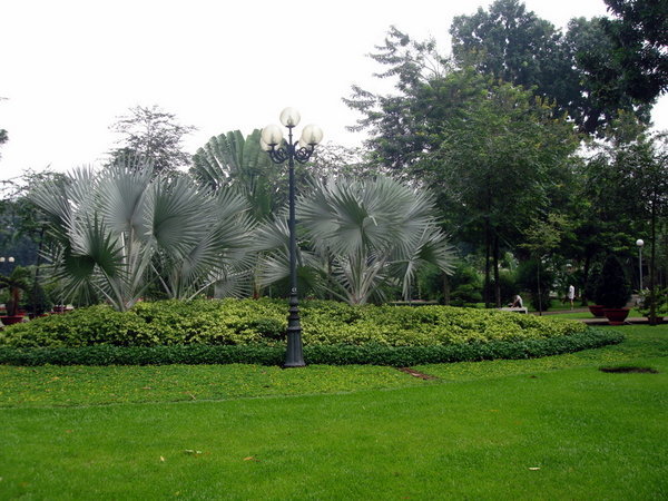 A Park