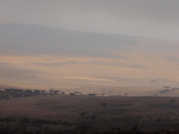 Between Serengeti and Ngorogoro