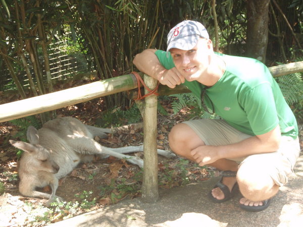 Up Close with Kangaroos