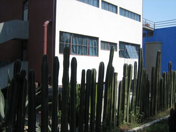 Frida and Diego's home