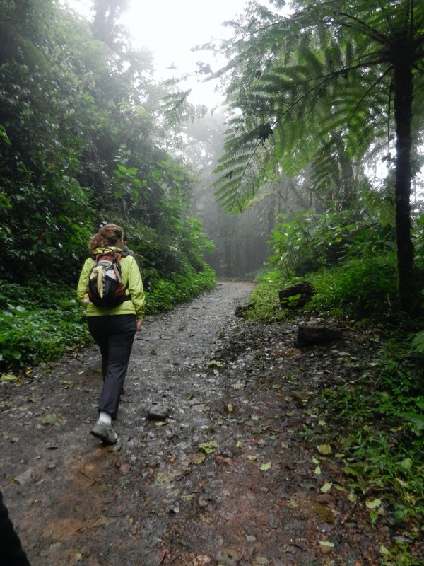 Hiking in the Monteverde Reserve