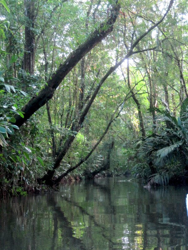 Canal at Tortuguero