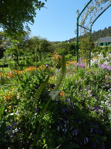 Giverny flowers