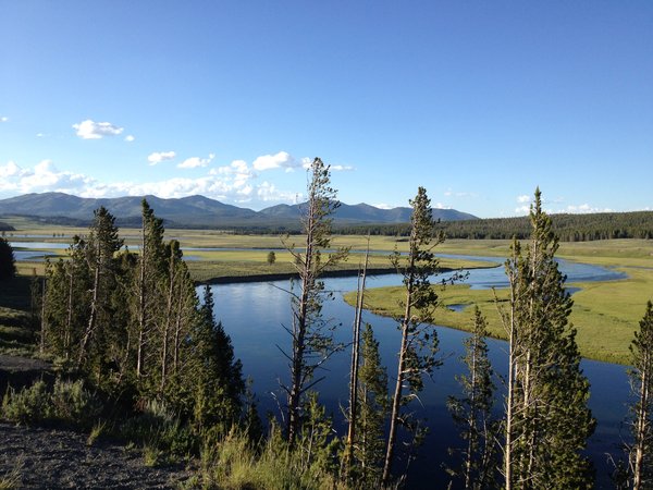 Typical Yellowstone View