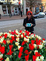 Cake! And tulips.