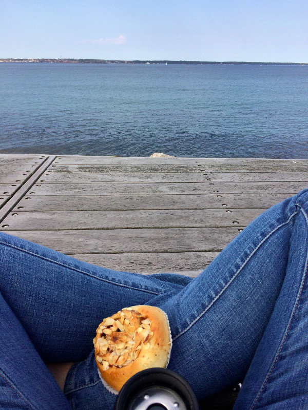 Sometimes you need a cinnamon roll and a view