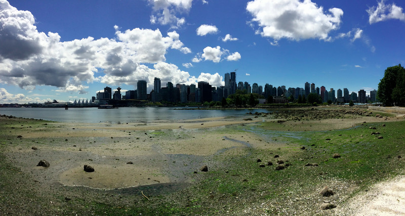 Vancouver Skyline from Stanely Park