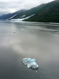 Ice floe, College Fjord