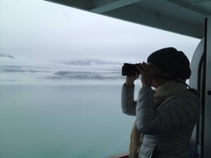 Appreciating the glaciers and wildlife