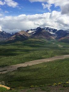 Denali