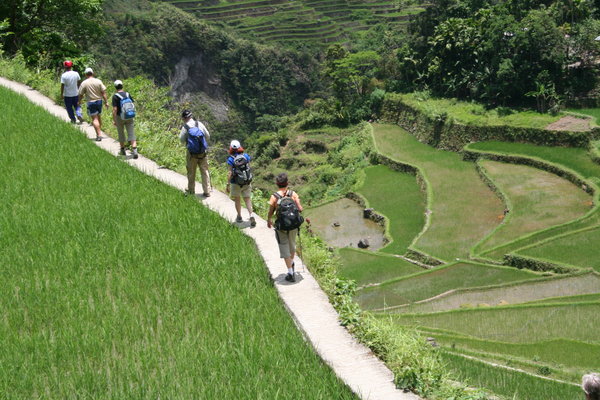 Tourists On a Hike