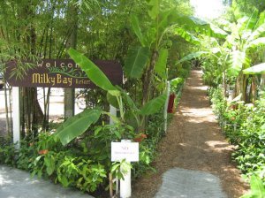 Milky Bay Resort (Ko Pha Ngan)