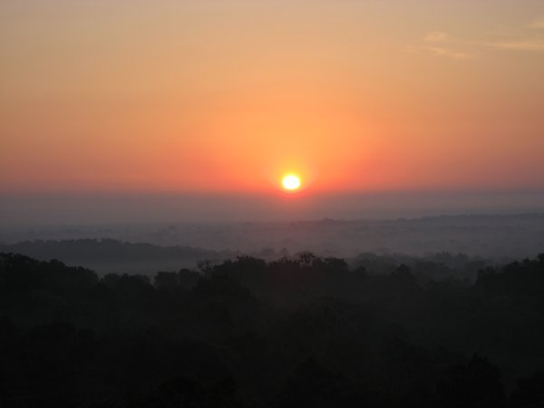 sunset over the jungle