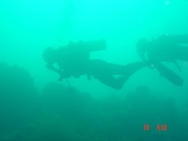 diving in tayrona