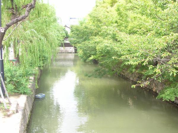 the canal 