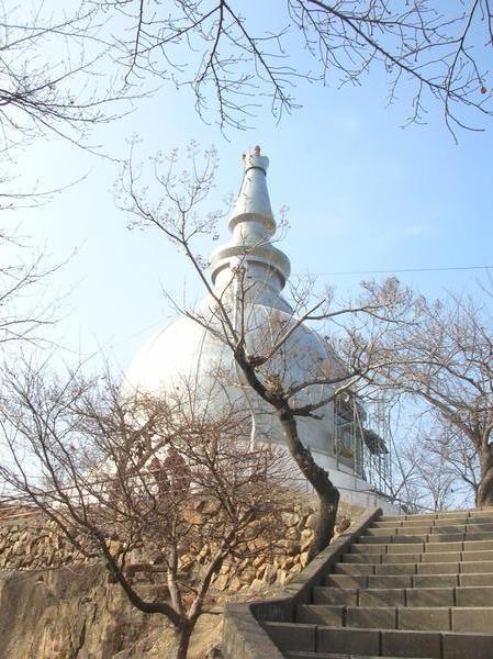 the Peace Pagoda