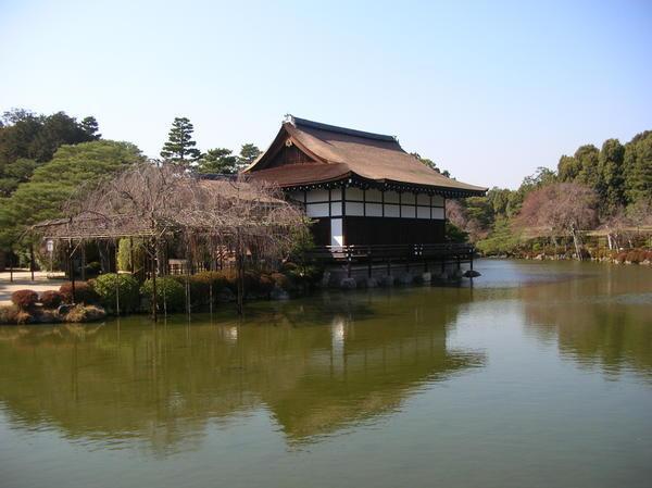 a beautiful Japanese garden