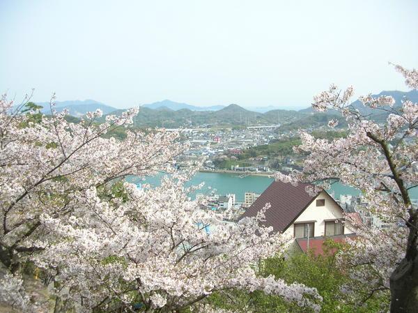 overlooking Onomichi and the Seto Inland Sea