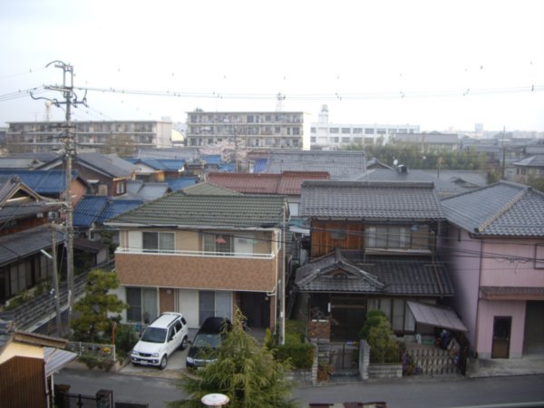 View from tatami room