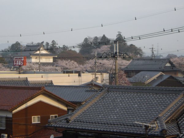 Zoomed in Minakuchi castle..