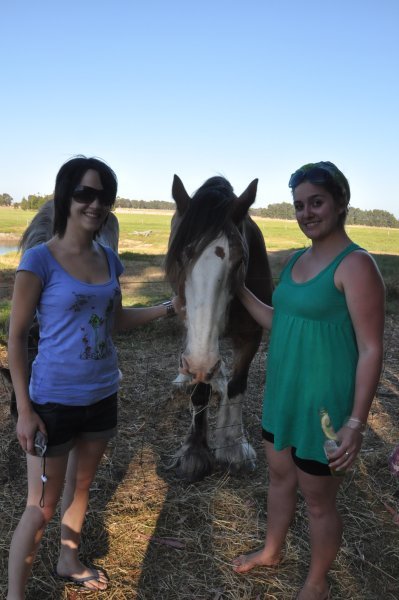Kristen, horse and moi
