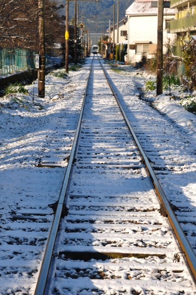 Snowy Rail