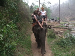 On the Elephant! Avec Leaf Hat! lol