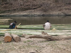 The birth of our Bamboo Raft!