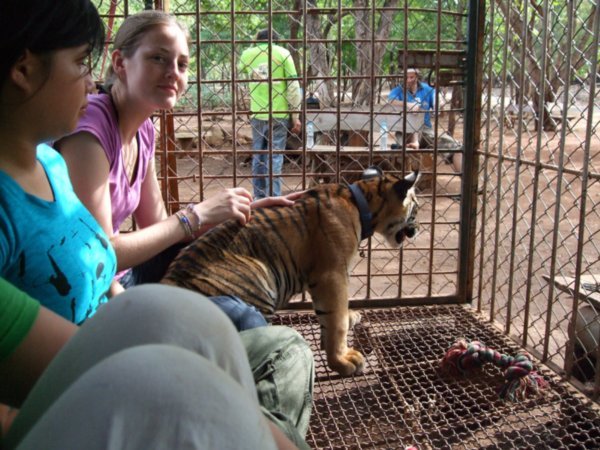 4 of us locked in a cage about 5ft by 3ft with 3 hungry Tiger Cubs!