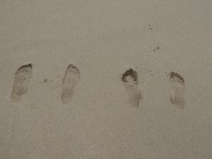 Anika our footprints...