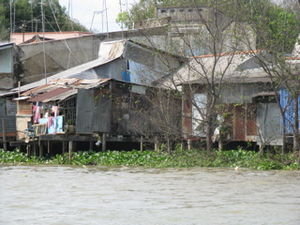 Houses on the River's Edge