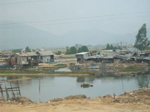 Homes along the river