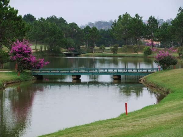View from the 12th Hole