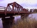 Paringa bridge