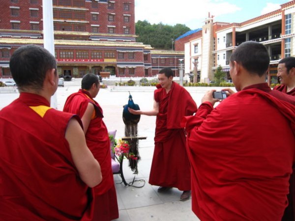 Tibetan Monks Zhongdian