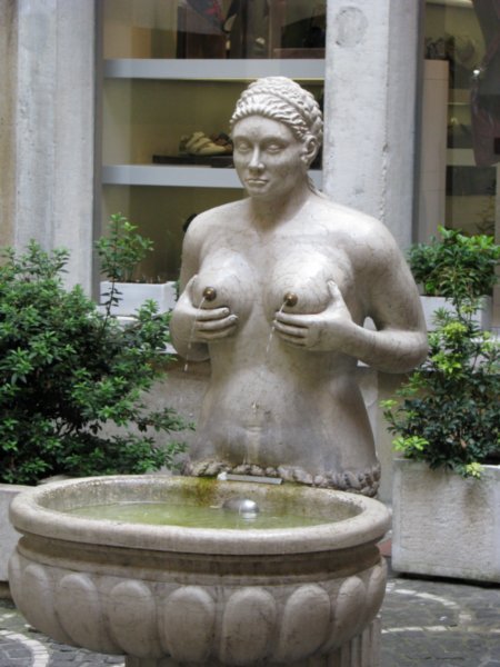 Treviso Fountain