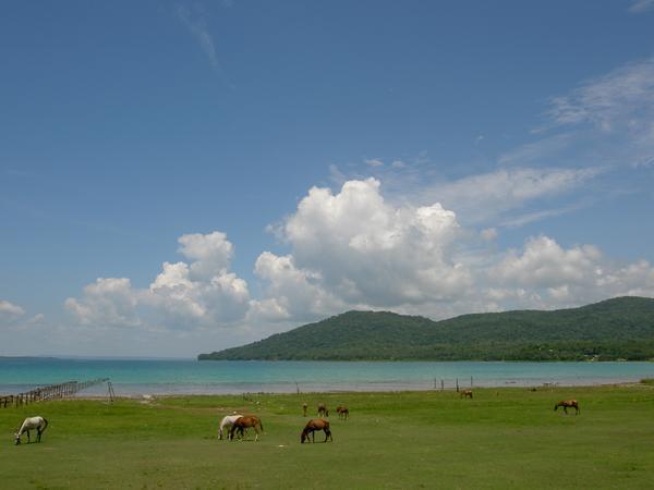 Guatemalan Lake
