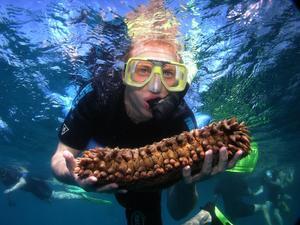 Graeme and a sea cucumber