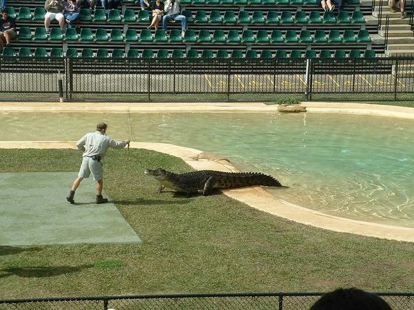 The croc show at Australia Zoo