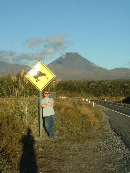 Kiwi crossing!