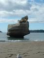 At Cathedral Cove