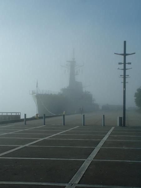 Wellington in the fog