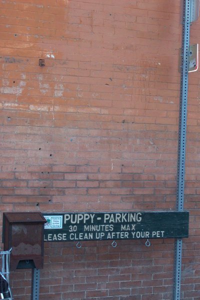 puppy parking!